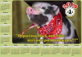 Календарь на 2019 год, формат А4, ламинированный, с логотипом шахматной школы г. Орска Календарь на 2019 год, формат А4, ламинированный, с логотипом шахматной школы г. Орска